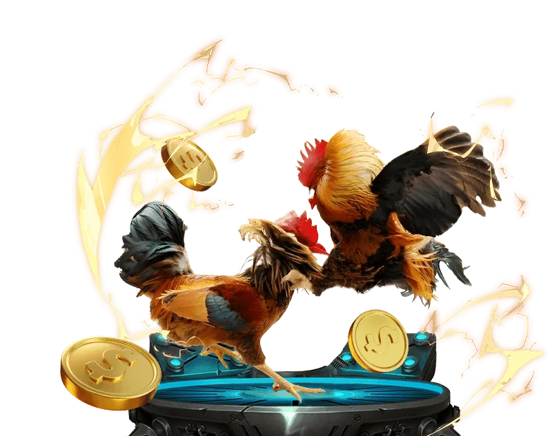 Các tiêu chí chọn nền tảng đá gà trực tiếp Thomo C3